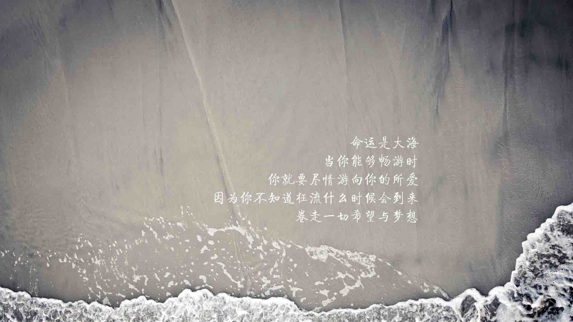 《【行业洞察】国际合作与技术创新驱动行业新腾飞》，打造国际合作新平台