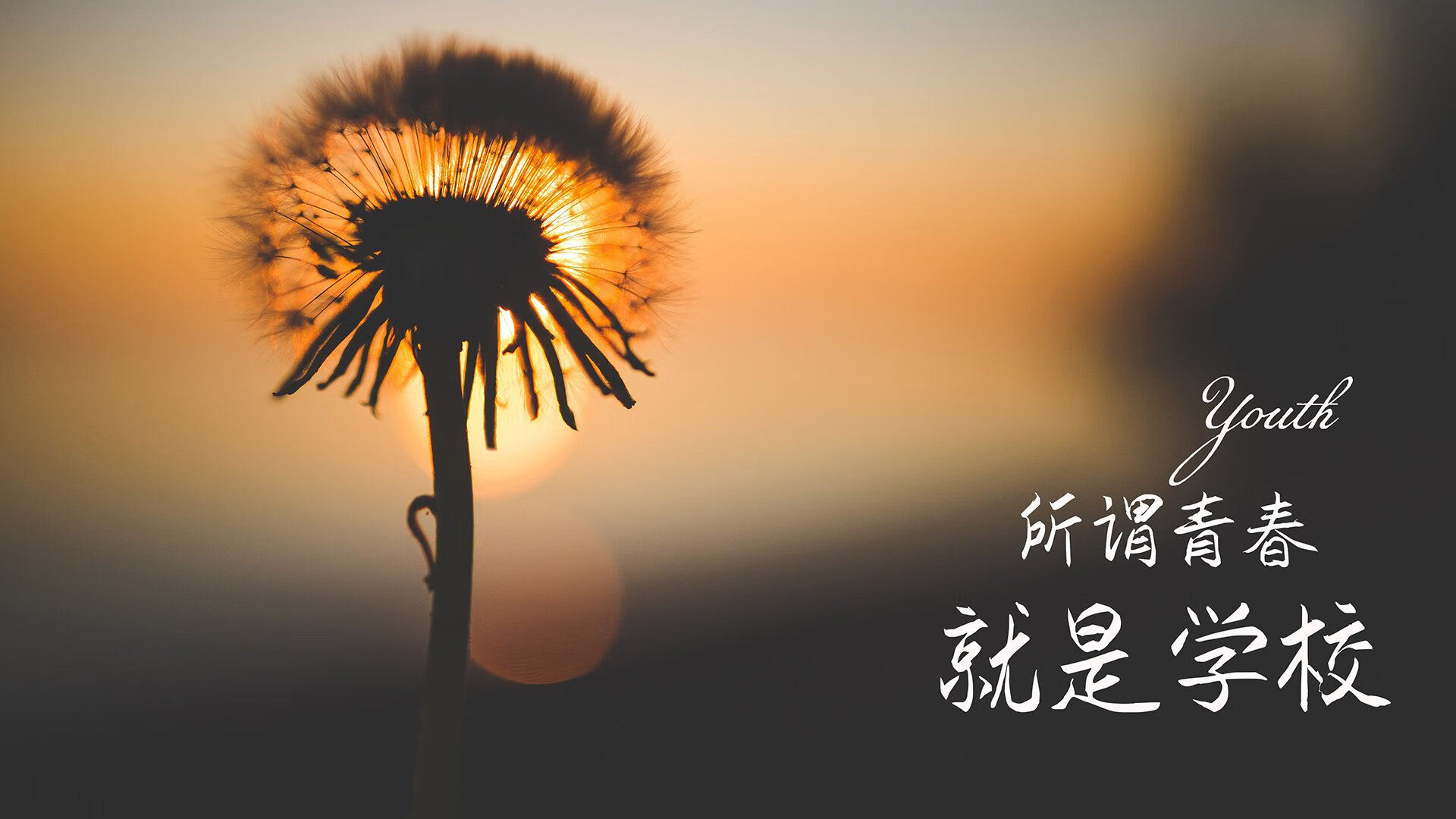开云中国大陆-令人振奋的“团结”力量——欧冠中的团队奇迹，欧冠队伍介绍