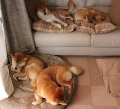 青年足球训练营助力培养未来国家队核心力量,青少年足球青训方案