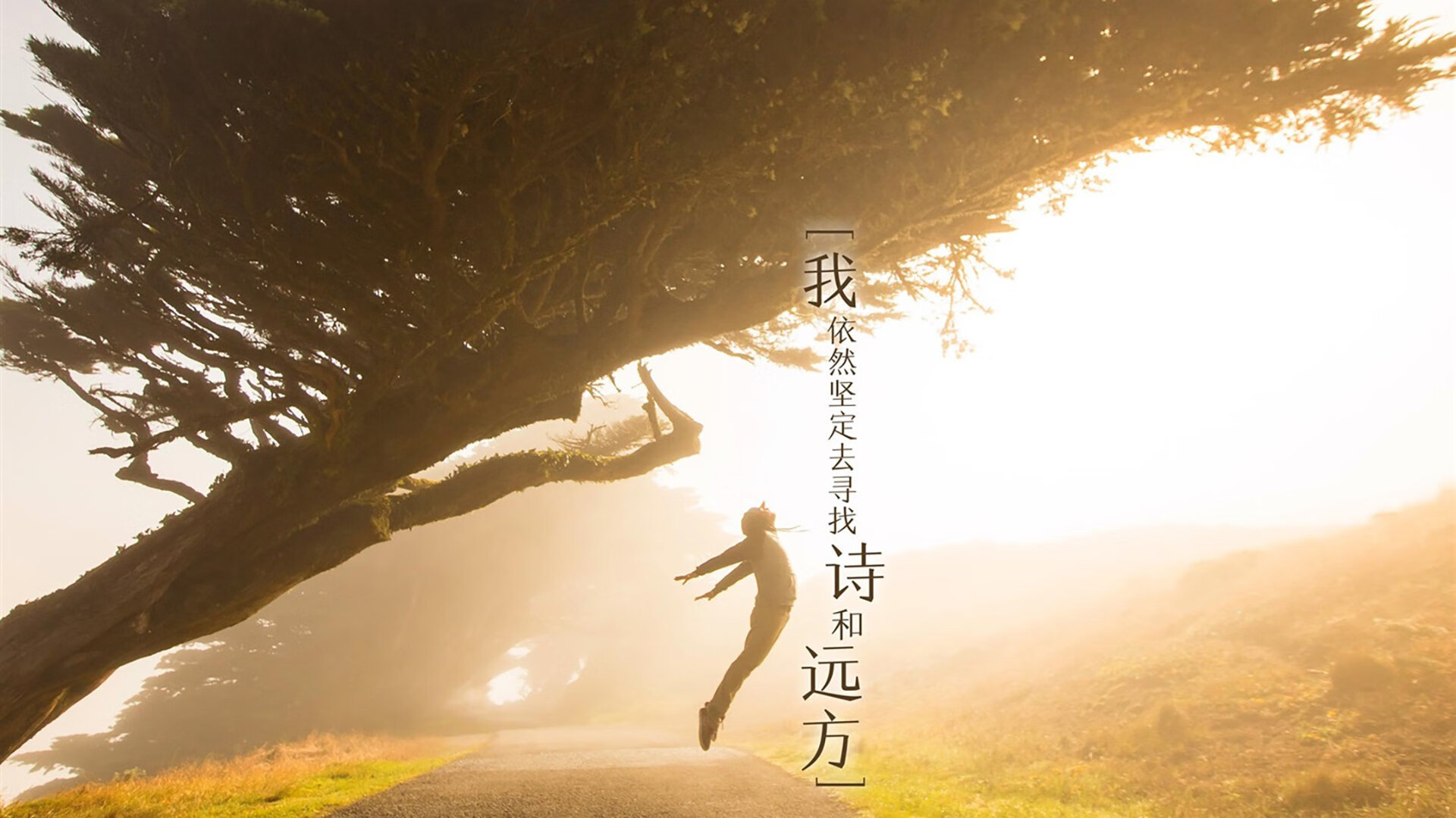本菲卡球员伤病名单更新，本菲卡球员身价