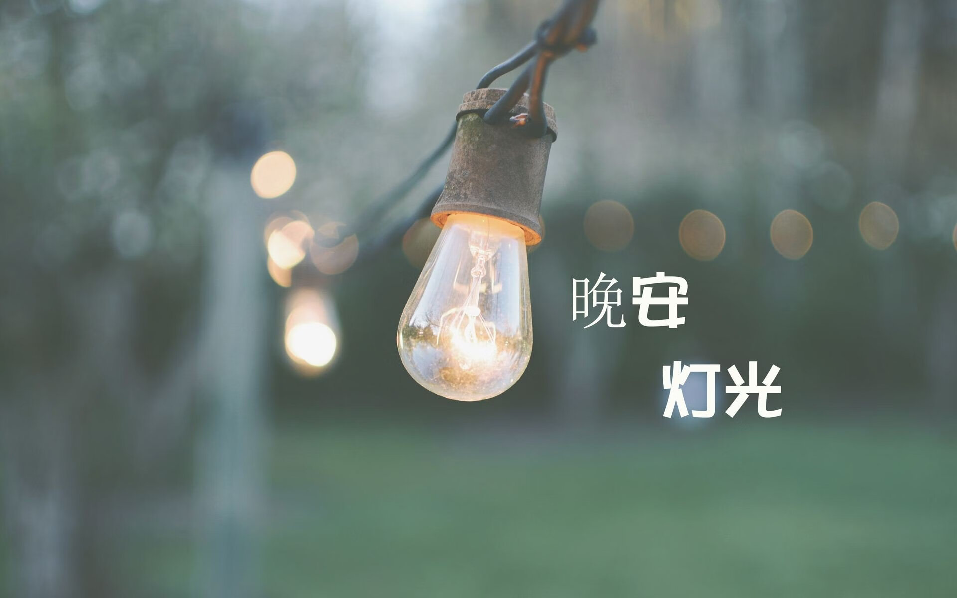 沃尔夫斯堡球员表现出色，助球队取得胜利，沃尔夫斯堡最新阵容