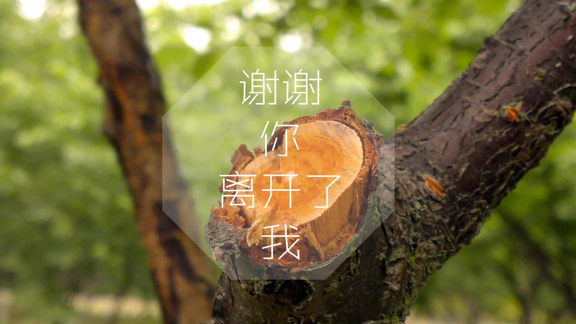 NBA联盟青训体系在低龄阶段的科学布局，lol青训队年龄要求