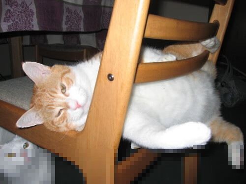 五大联赛是否普遍采用前场控球后中路传递提速战术，控球前锋