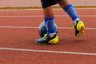 开云体育APP下载-明星球员带动体育产业发展，打造体育明星的弊端