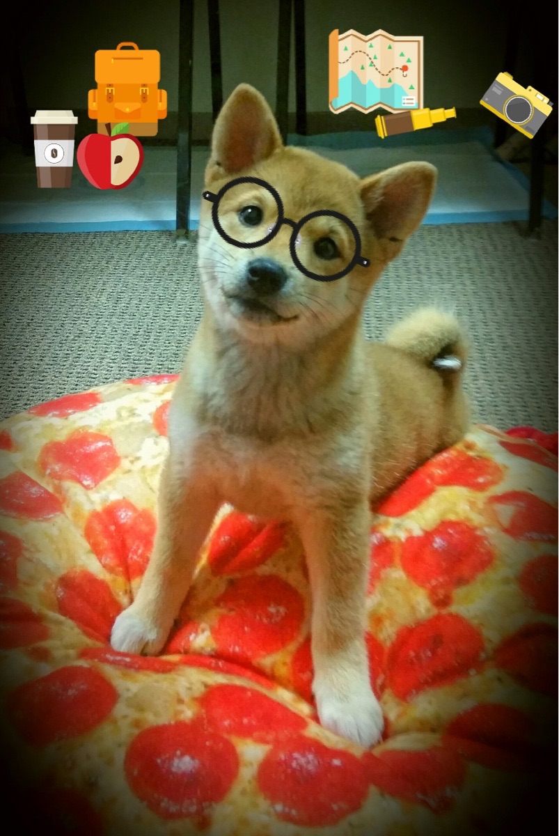 开云·体育官网APP下载-训练计划可穿戴数据同步助力智能反馈，可穿戴训练监控设备