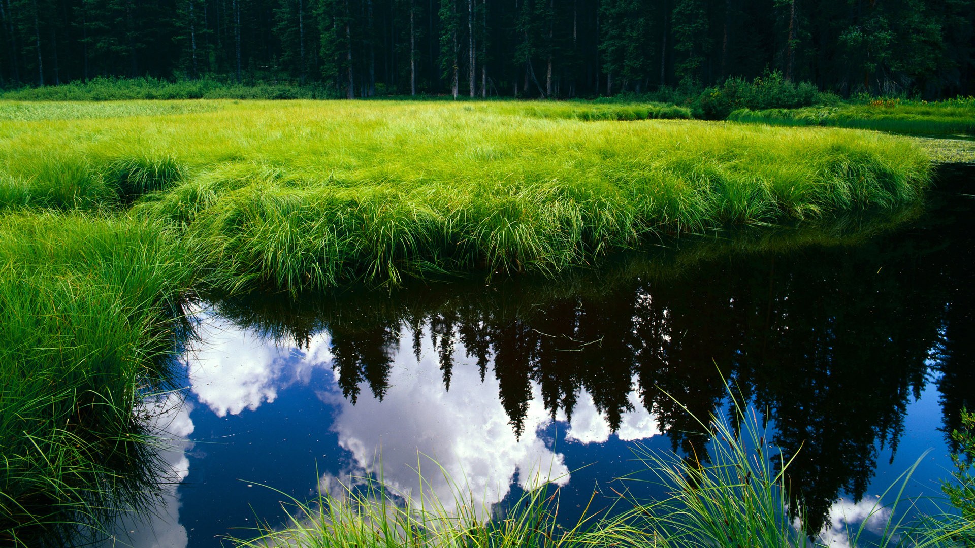 开云kaiyun-马竞边锋速度突出，撕裂防线，马竞的战术