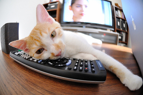 kaiyun官方入口登录-世界杯瞬间：逆天长传助攻摘星，世界杯夺冠星星