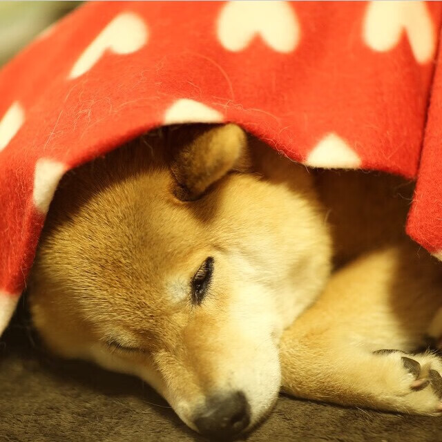 开云·体育官网-球员达成生涯助攻纪录，传球艺术被重新定义，传球辅助