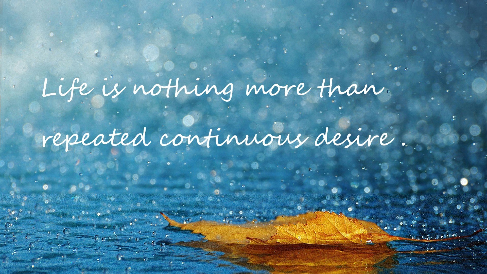 球员达成生涯助攻纪录，传球艺术被重新定义，传球辅助