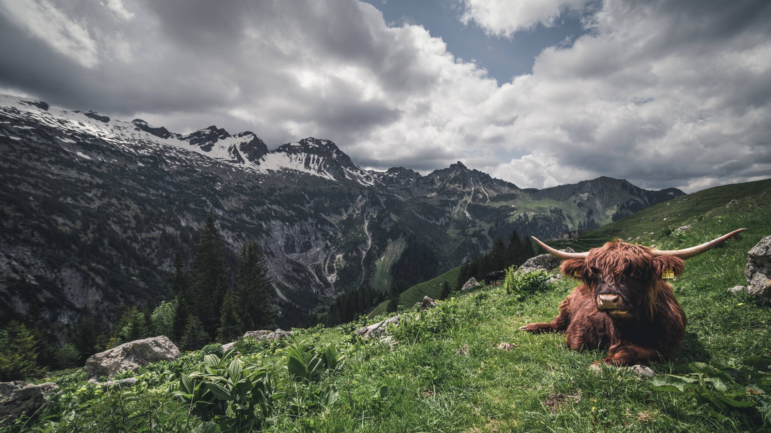 职业联赛设置球员职业生涯规划讲座支持长期发展，职业联赛定义